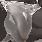 葡萄味芝士的钢琴谱