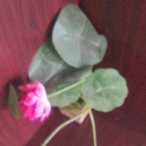 173****1987的钢琴谱