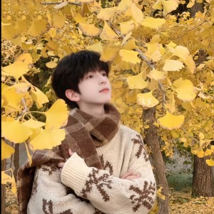 铭牌海螺的钢琴谱