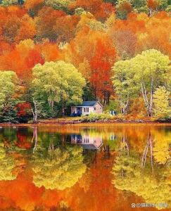 152****4160的钢琴谱