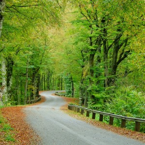 159****2436的个人空间