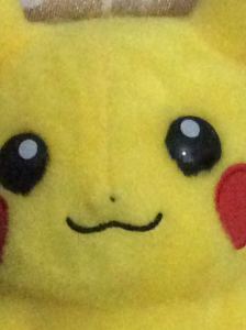 皮卡丘的个人空间