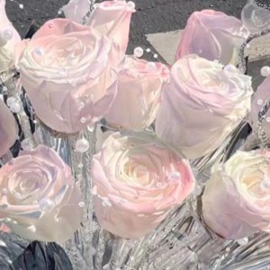繁星落满四季花海的个人空间