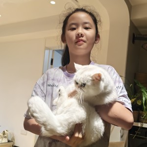 Sissi的个人空间