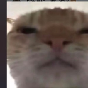 [白狼卡莫纳]剑意无语的钢琴谱