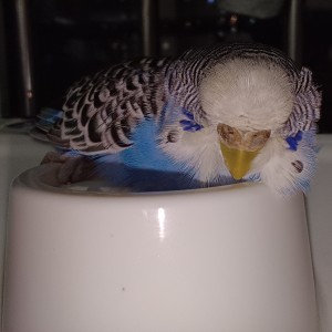 有有的个人空间