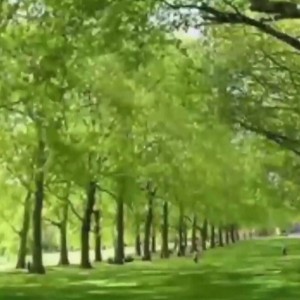 怀汐的个人空间