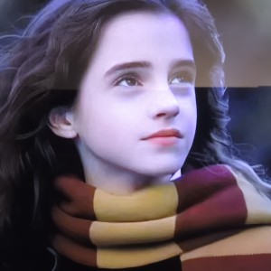 一只哈迷的个人空间