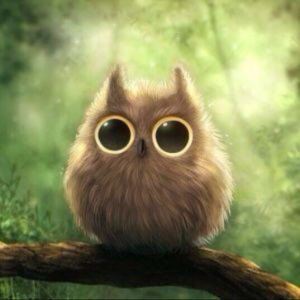 车尔尼599 No.79的演奏视频