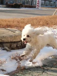 【稻米】钢琴没我刚的个人空间