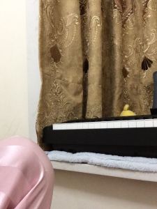 电子琴练习我不菜的个人空间