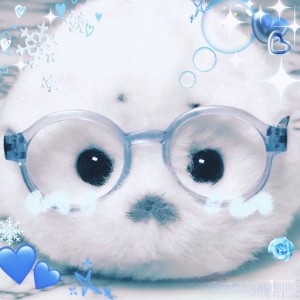 豹大厨的钢琴谱