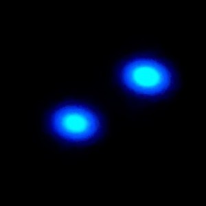 初音未来（直播中）的钢琴谱