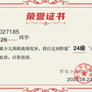 的演奏视频