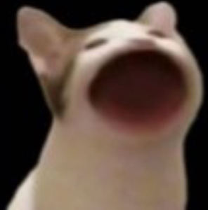 猫meme的个人空间