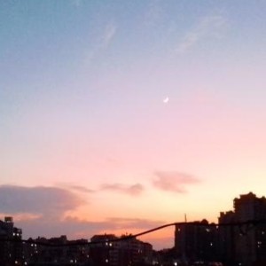 小博的个人空间