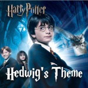 养中人的个人空间