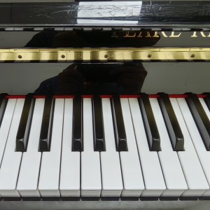 一个学琴的小青年的钢琴谱