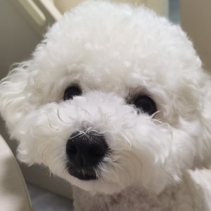 180****9175的钢琴谱