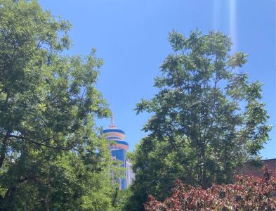 185****2159的钢琴谱