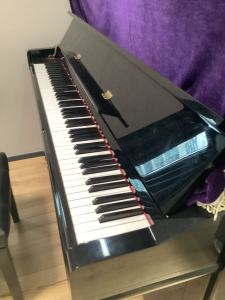 151****0509的钢琴谱