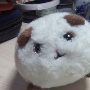 偶细小猫（官方网）的个人空间