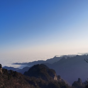 青木森影的钢琴谱