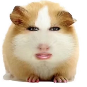 yy的钢琴谱