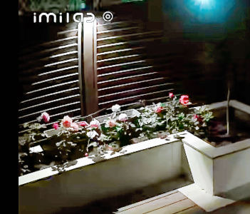 130****1029的钢琴谱