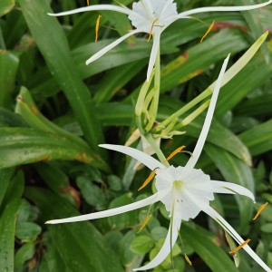 181****7655的個人空間