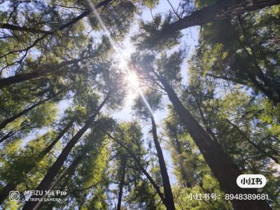 樂๑҉的钢琴谱