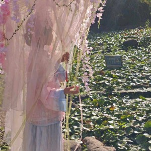 华山清风的个人空间