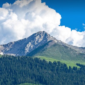 周周不喝粥粥的钢琴谱