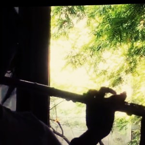 瓷家宁兔(宁)的个人空间