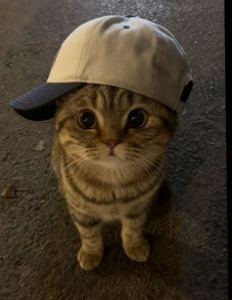 132****8505的钢琴谱