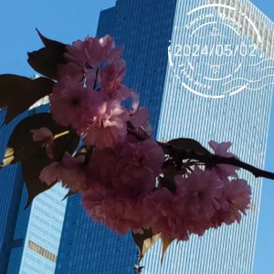 梦兮-寒漪的个人空间