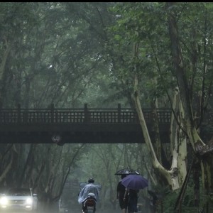 178****4717的钢琴谱