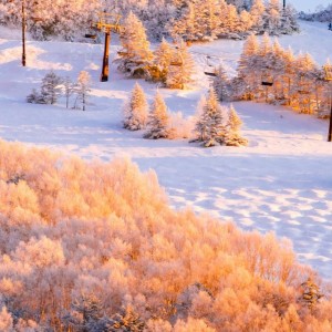 安安的个人空间