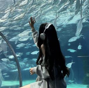 ^为何总爱唉、的钢琴谱