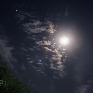 Vacuum Track的钢琴谱