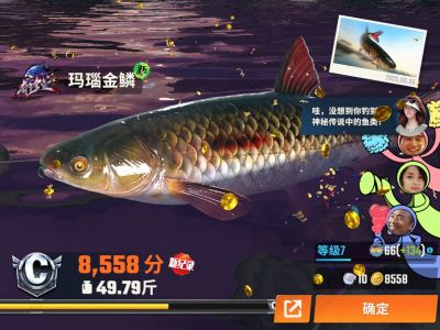 Croatian Rhapsody的演奏视频