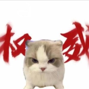 加勒比海盗 白夜的个人空间