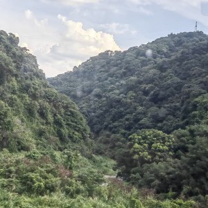 陈嘉悦的钢琴谱