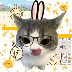 莓猫冰的钢琴谱
