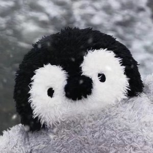 露草色🍀的钢琴谱