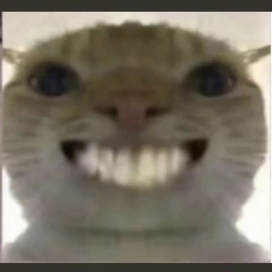 哈吉蜂的钢琴谱