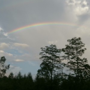 189****2742的个人空间