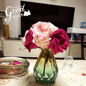 栀子花的个人空间