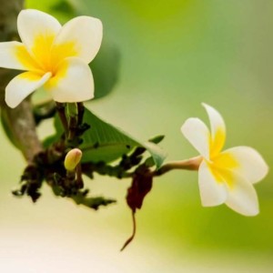 霞光的个人空间