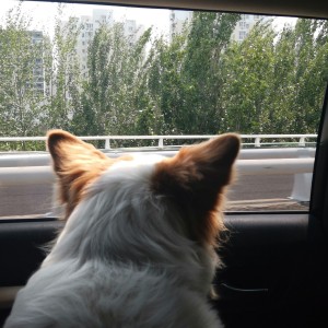 ㅤㅤ压力ㅤㅤㅤㅤㅤㅤㅤㅤㅤㅤ的钢琴谱